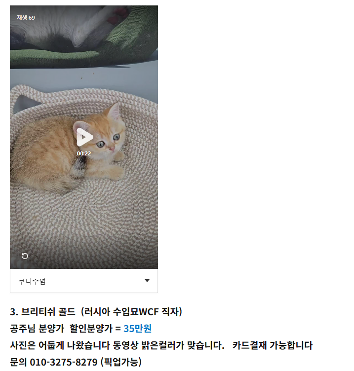 06월 09일